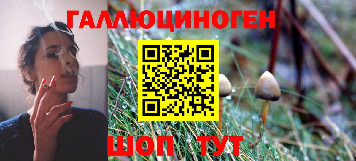 Галлюциногенные грибы GOLDEN TEACHER Казань