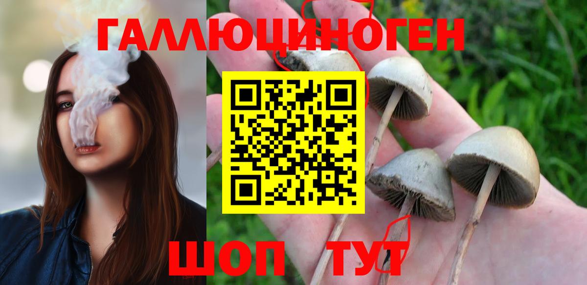 Галлюциногенные грибы MAGIC MUSHROOMS  Вход с VPN  Казань 